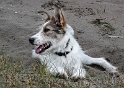 001 Nummer 2 Felix Holland 6 - 2013 _SAM_2209 Kopie